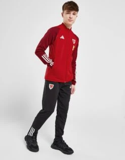 Adidas Wales Tiro 23 Training Track Pants Junior