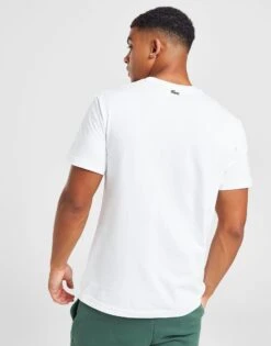 Lacoste T-shirt Large Logo Stack Homme 8 Lacoste T-shirt Large Logo Stack Homme -Sport VĂȘtements Magasin jd 670389 c