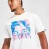Adidas T-shirt Badge Of Sport Summer Homme