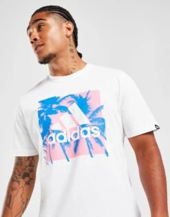 Adidas T-shirt Badge Of Sport Summer Homme