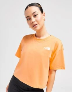 The North Face Simple Dome Crop T-Shirt